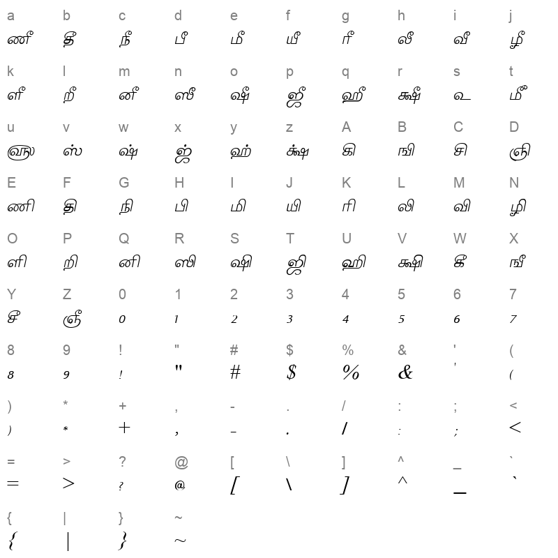 Tam_Shakti_17 Normal Character Map