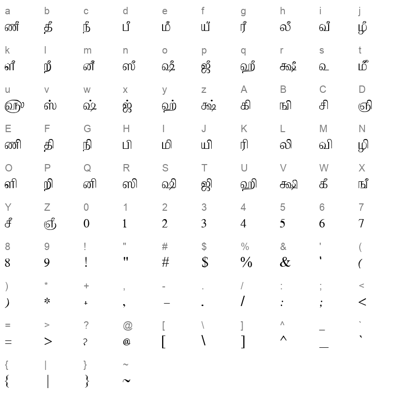 Tam_Shakti_18 Normal Character Map