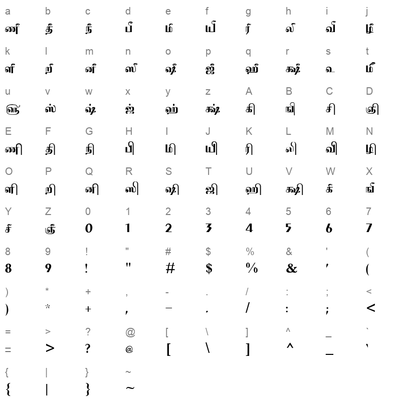 Tam_Shakti_19 Normal Character Map