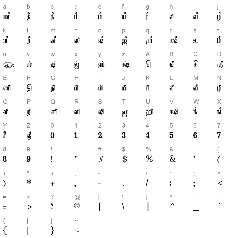 Tam_Shakti_41 Normal Character Map