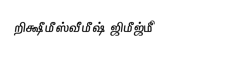 Preview of TAM-Tamil133 Normal